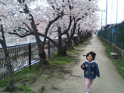 image/kitaoka-2006-04-09T10:32:05-3.jpg