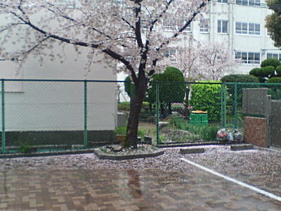 image/kitaoka-2006-04-11T10:04:41-1.jpg